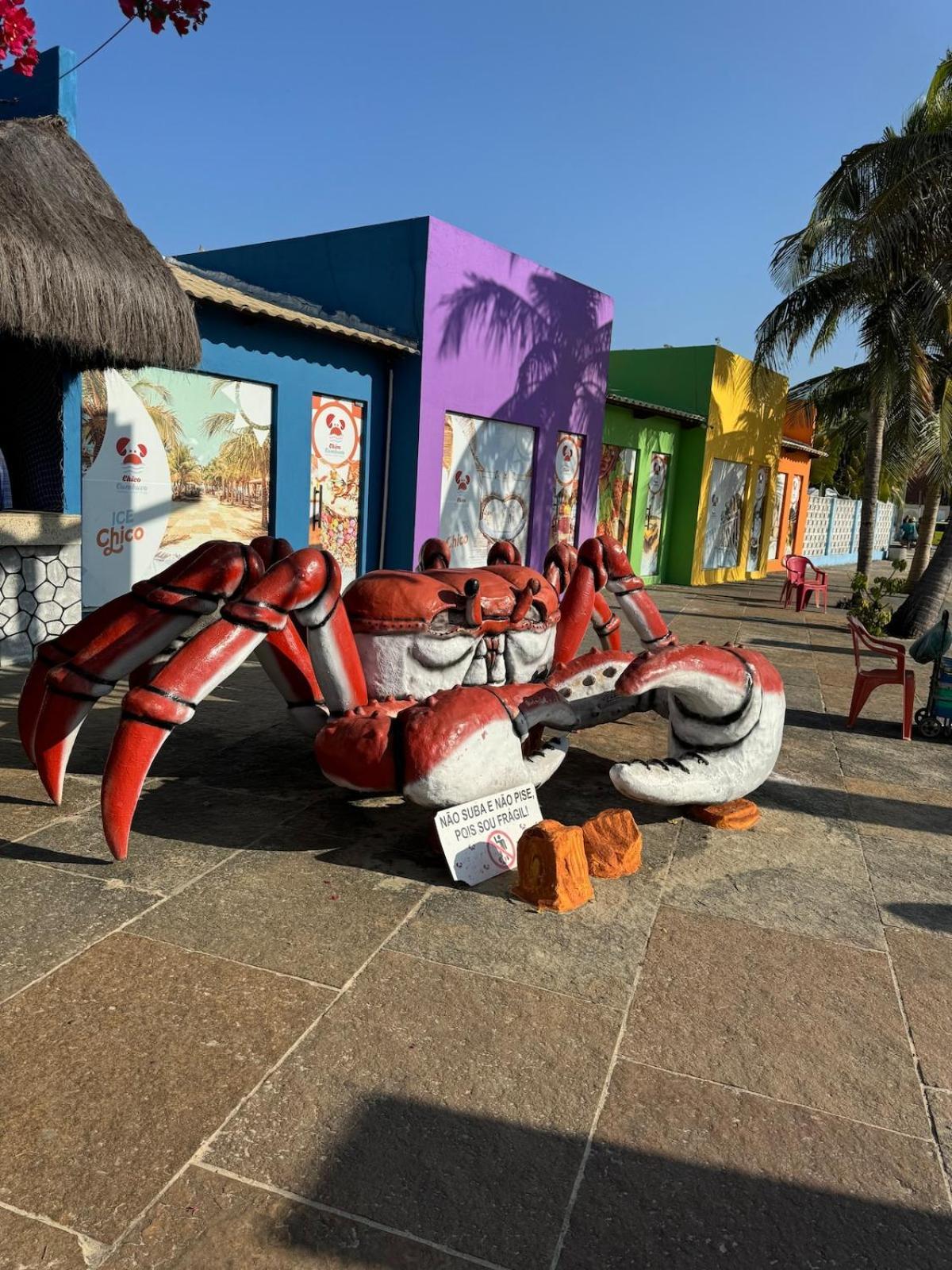 Apartamento Beach Place Cumbuco 100M Da Praia 카우카이아 외부 사진